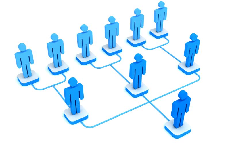 Sơ đồ tổ chức của 13 cơ sở thuế Cần Thơ và Cục Thuế thành phố